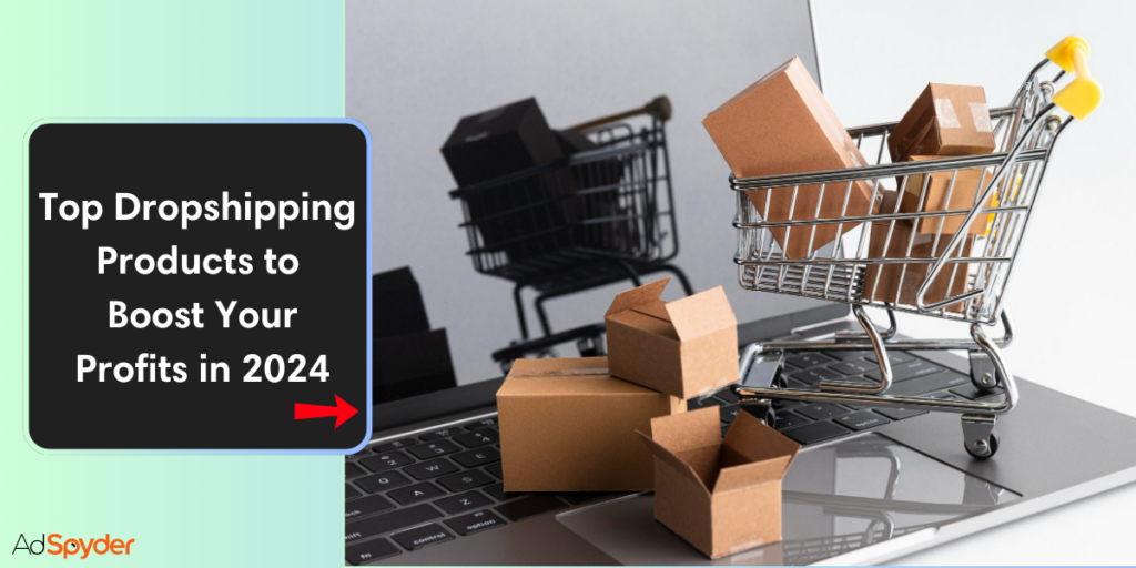 Top Dropshipping Products to Boost Your Profits in 2024